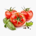 Fresh Roma Tomato
