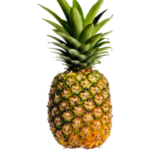Fresh Pineapple