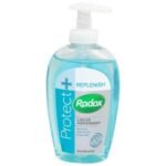 Radox Protect Liquid Replenish Handwash 250ml